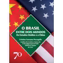 O Brasil entre dois mundos: os Estados Unidos e a China