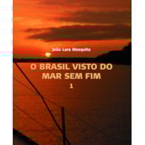 O BRASIL VISTO DO MAR SEM FIM (2 VOLS) O BRASIL VISTO DO MAR SEM FIM (2 VOLS)