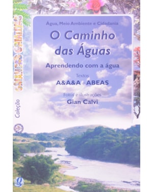 O caminho das águas: aprendendo com a água