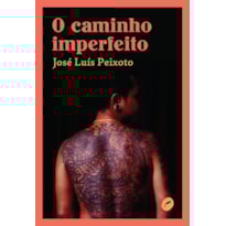 O CAMINHO IMPERFEITO