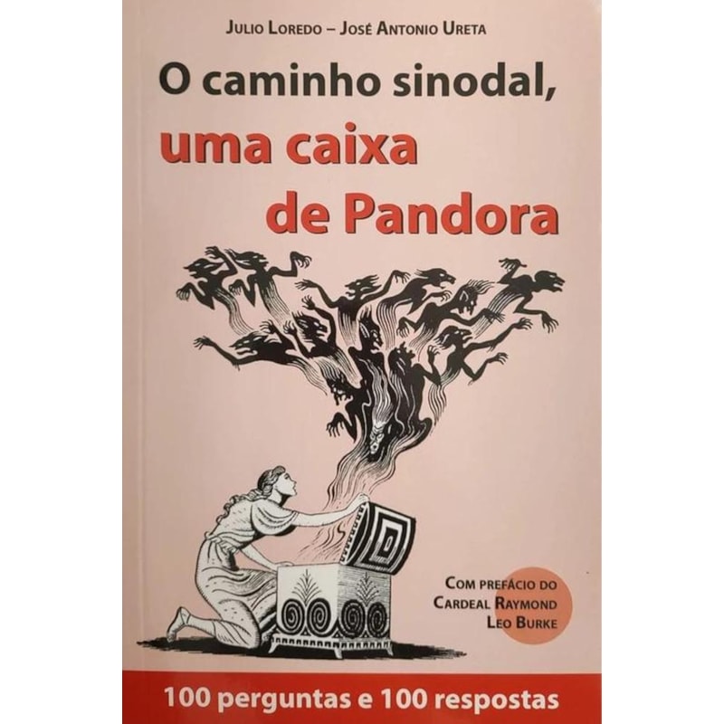O CAMINHO SINODAL, UMA CAIXA DE PANDORA