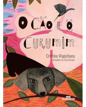 O CÃO E O CURUMIM