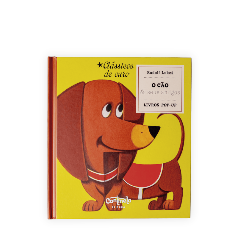 O cão e seus amigos