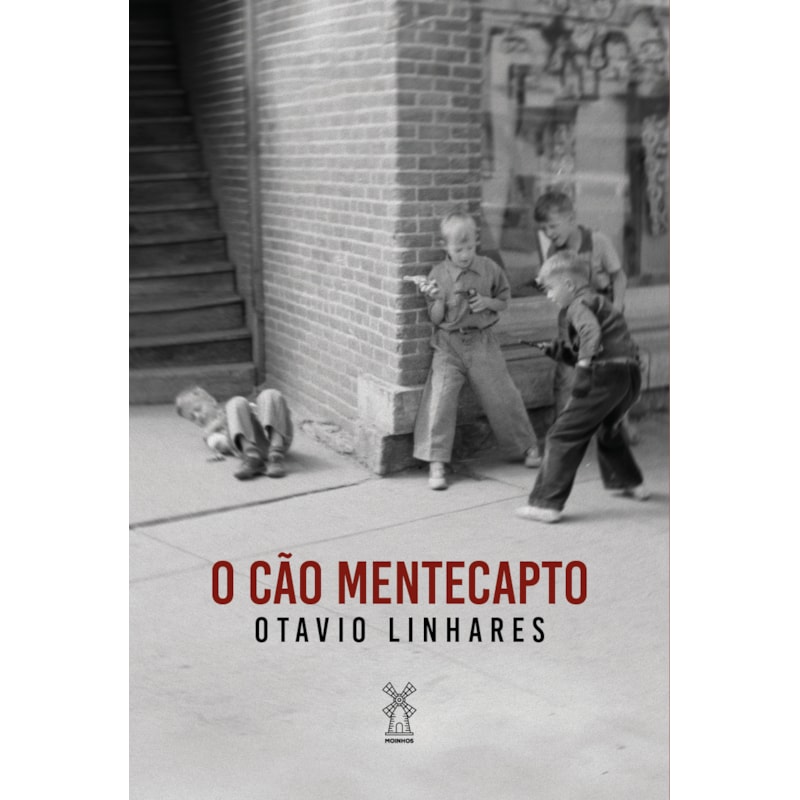O CÃO MENTECAPTO