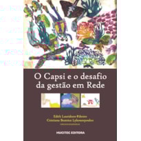 O CAPSI E O DESAFIO DA GESTÃO EM REDE