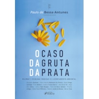 O CASO DA GRUTA DE PRATA - DILEMAS E ESCOLHAS TRÁGICAS NO LICENCIAMENTO AMBIENTAL - 1ª ED - 2026
