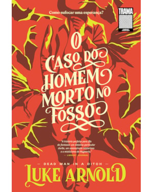 O CASO DO HOMEM MORTO NO FOSSO
