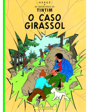 O CASO GIRASSOL