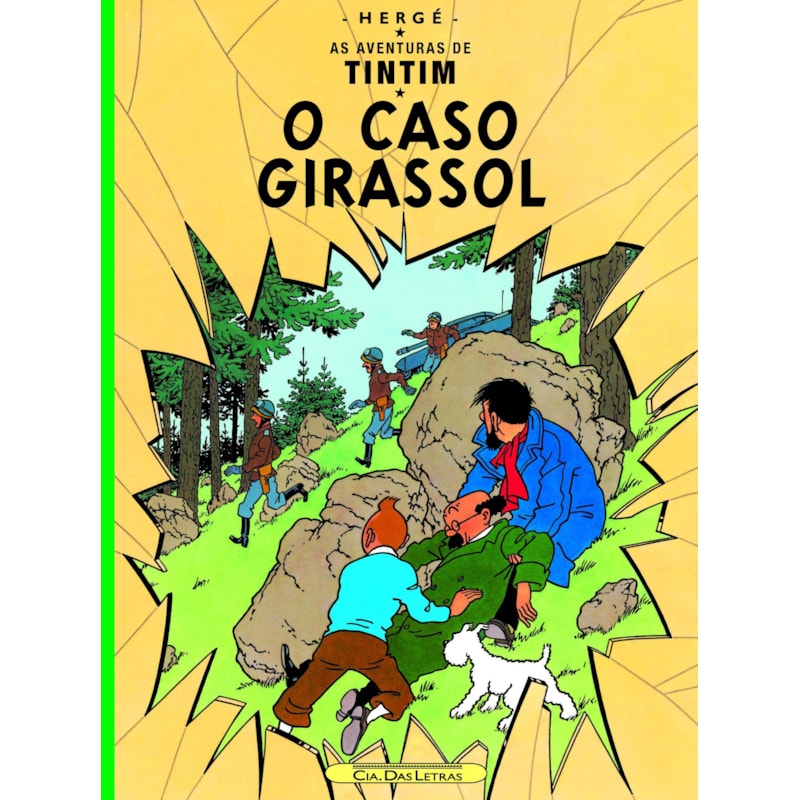 O CASO GIRASSOL