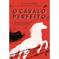 O CAVALO PERFEITO