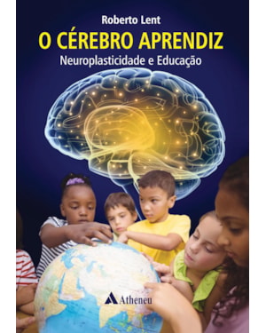 O cérebro aprendiz: neuroplasticidade e educação
