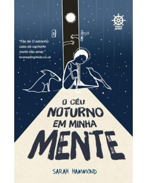 O CÉU NOTURNO EM MINHA MENTE