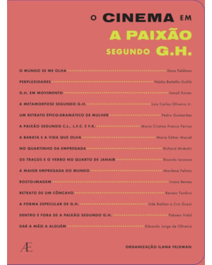 O CINEMA EM A PAIXÃO SEGUNDO G.H.