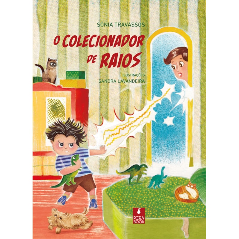 O COLECIONADOR DE RAIOS