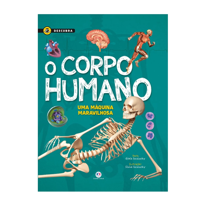 O CORPO HUMANO