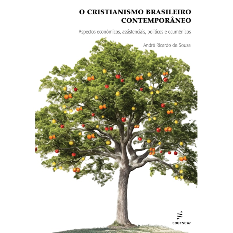 O CRISTIANISMO BRASILEIRO CONTEMPORÂNEO:: ASPECTOS ECONÔMICOS, ASSISTENCIAIS, POLÍTICOS E ECUMÊNICOS.