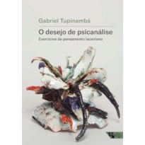O desejo de psicanálise: exercícios de pensamento lacaniano