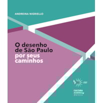 O desenho de são paulo por seus caminhos