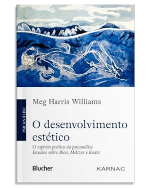 O DESENVOLVIMENTO ESTÉTICO