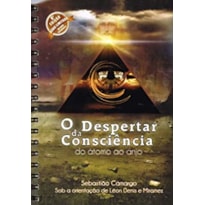 O DESPERTAR DA CONCIÊNCIA - DO ÁTOMO AO ANJO