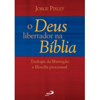 O Deus libertador na Bíblia: teologia da libertação e filosofia processual