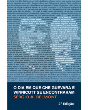 O dia em que Che Guevara e Winnicott se encontraram
