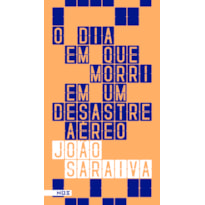O DIA QUE MORRI EM UM DESESTRA AÉREO