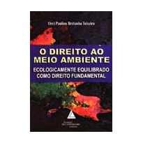 O DIREITO AO MEIO AMBIENTE