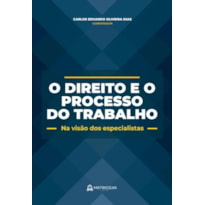 O DIREITO E O PROCESSO DO TRABALHO - NA VISÃO DOS ESPECIALISTAS