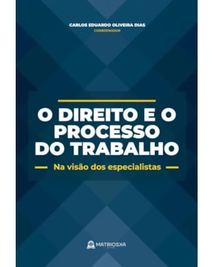 O DIREITO E O PROCESSO DO TRABALHO - NA VISÃO DOS ESPECIALISTAS