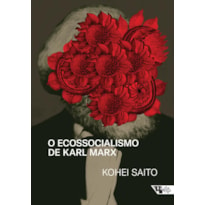 O ecossocialismo de karl marx: capitalismo, natureza e a crítica inacabada à economia política