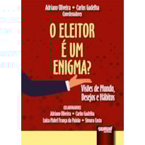 O ELEITOR É UM ENIGMA? - VISÕES DE MUNDO, DESEJOS E HÁBITOS