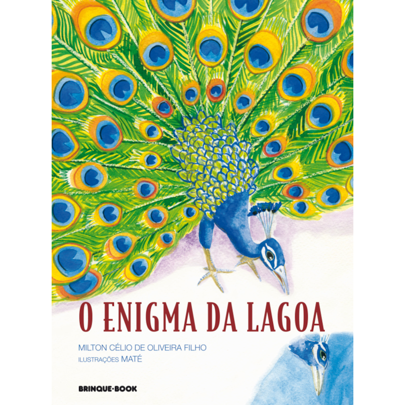 O ENIGMA DA LAGOA