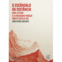 O ESCÂNDALO DA DISTÂNCIA: UMA LEITURA D'A MONTANHA MÁGICA PARA O SÉCULO XXI