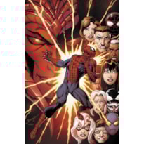 O Espetacular Homem-Aranha (2025) 03