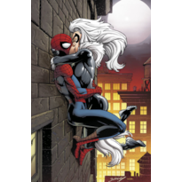 O Espetacular Homem-Aranha (2025) 04