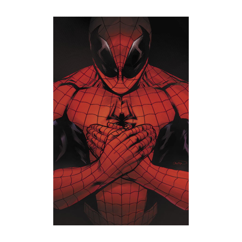 O Espetacular Homem-Aranha (2025) 05