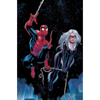 O espetacular homem-aranha (2025) 10