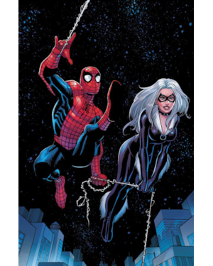 O espetacular homem-aranha (2025) 10