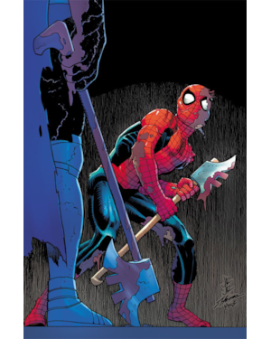 O Espetacular Homem-Aranha (2025) 11