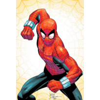 O Espetacular Homem-Aranha (2025) 12