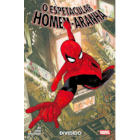 O espetacular homem-aranha: dividido