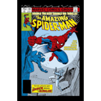 O espetacular Homem-Aranha edição definitiva vol. 15