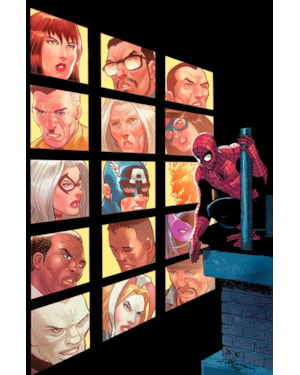 O espetacular homem-aranha vol. 19 / 63