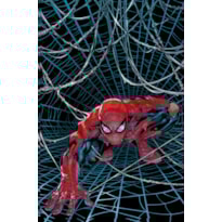 O espetacular homem-aranha vol. 20 / 64