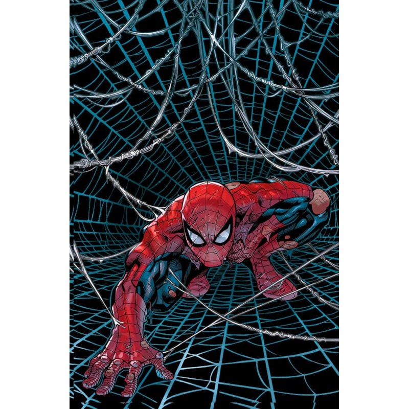 O espetacular homem-aranha vol. 20 / 64