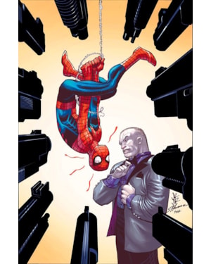O espetacular homem-aranha vol. 22 / 66