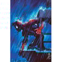O Espetacular Homem-Aranha Vol. 28 / 72