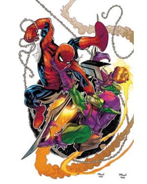 O Espetacular Homem-Aranha Vol. 29 / 73
