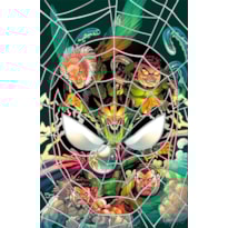 O Espetacular Homem-Aranha Vol. 30 / 74